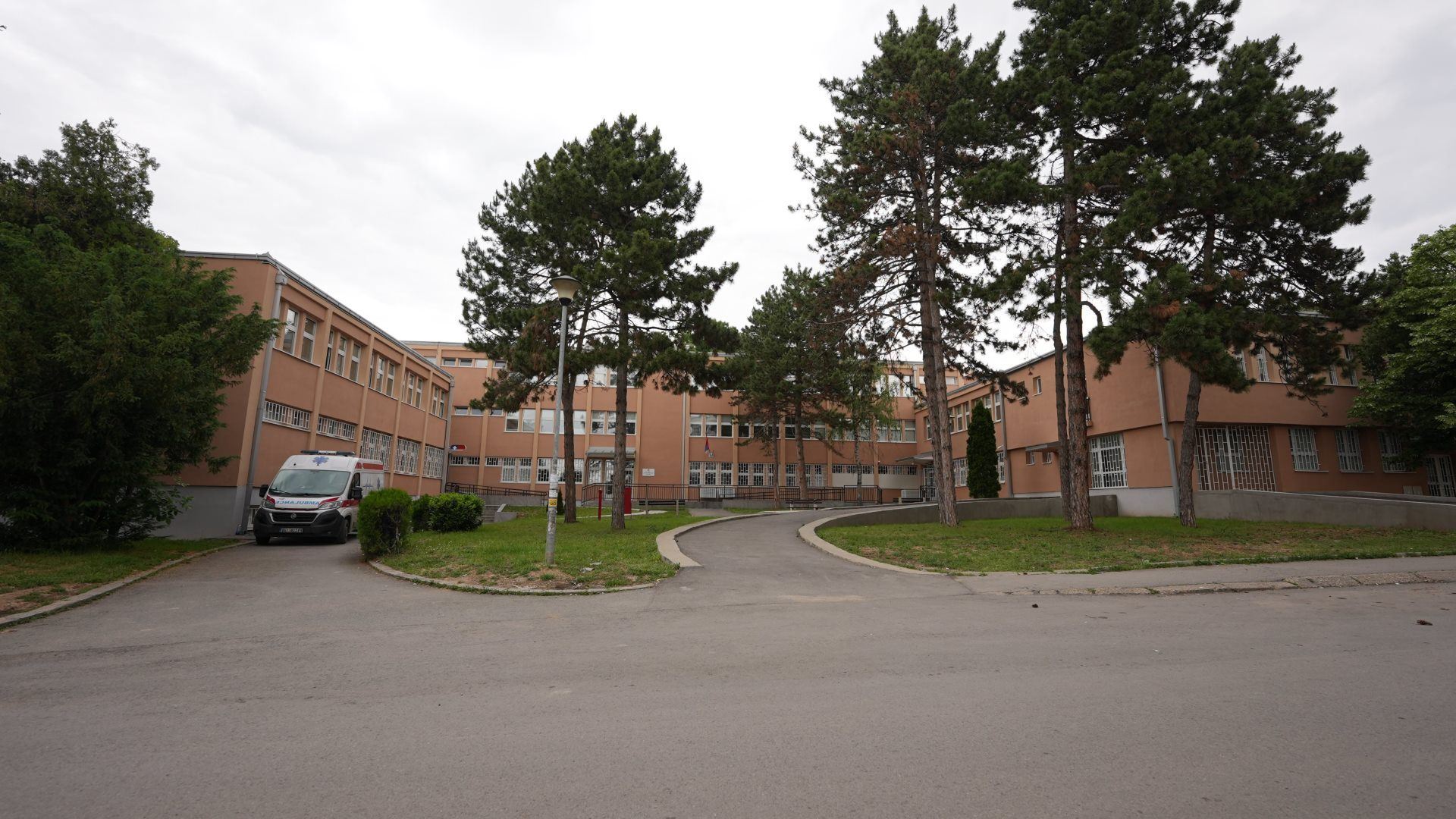 62376.jpg