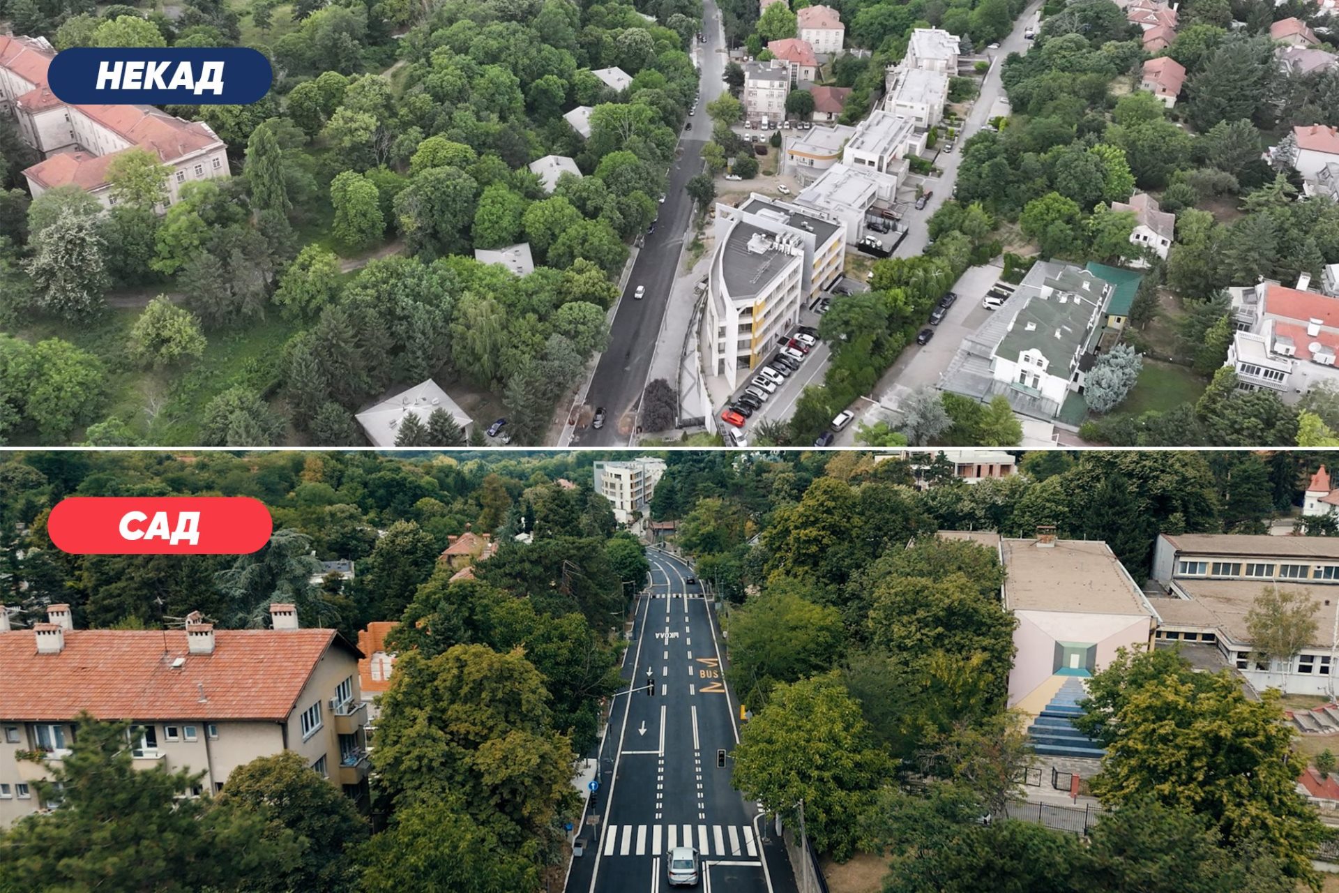 Teodora Drajzera 2.jpg