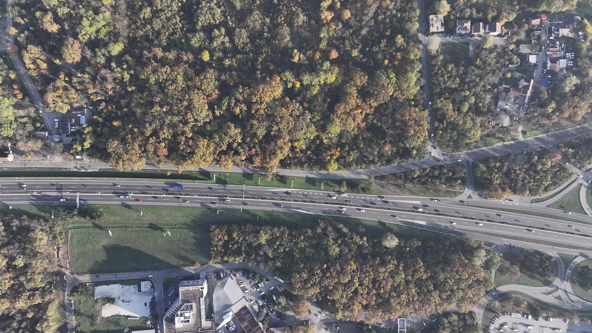 251115 Ivan Sekeric (22).JPG