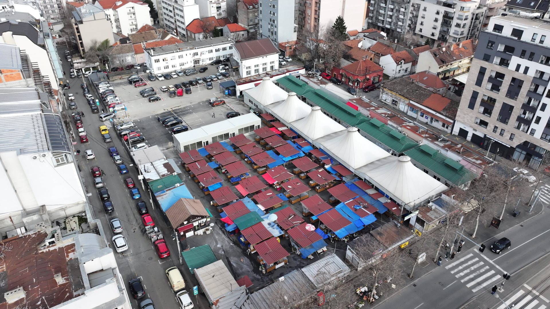 260203 Ivan Sekericcc (41) (1).JPG