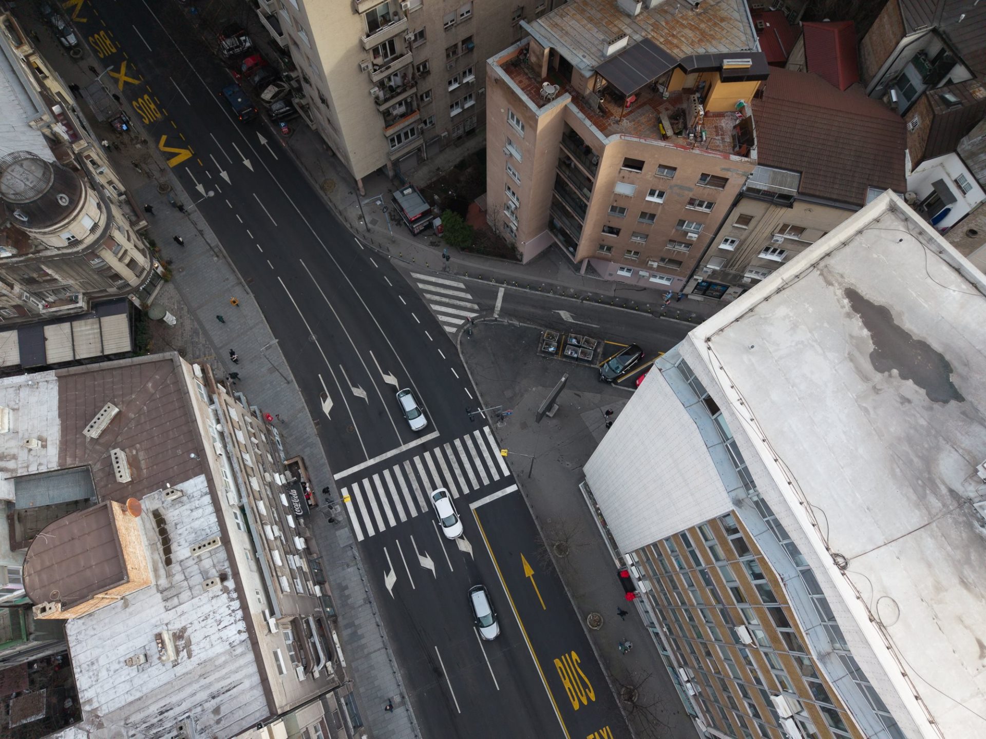 Bul D Stefana Dzordza V Skad Kosovska Danilo Trifunovic9 (1).jpg