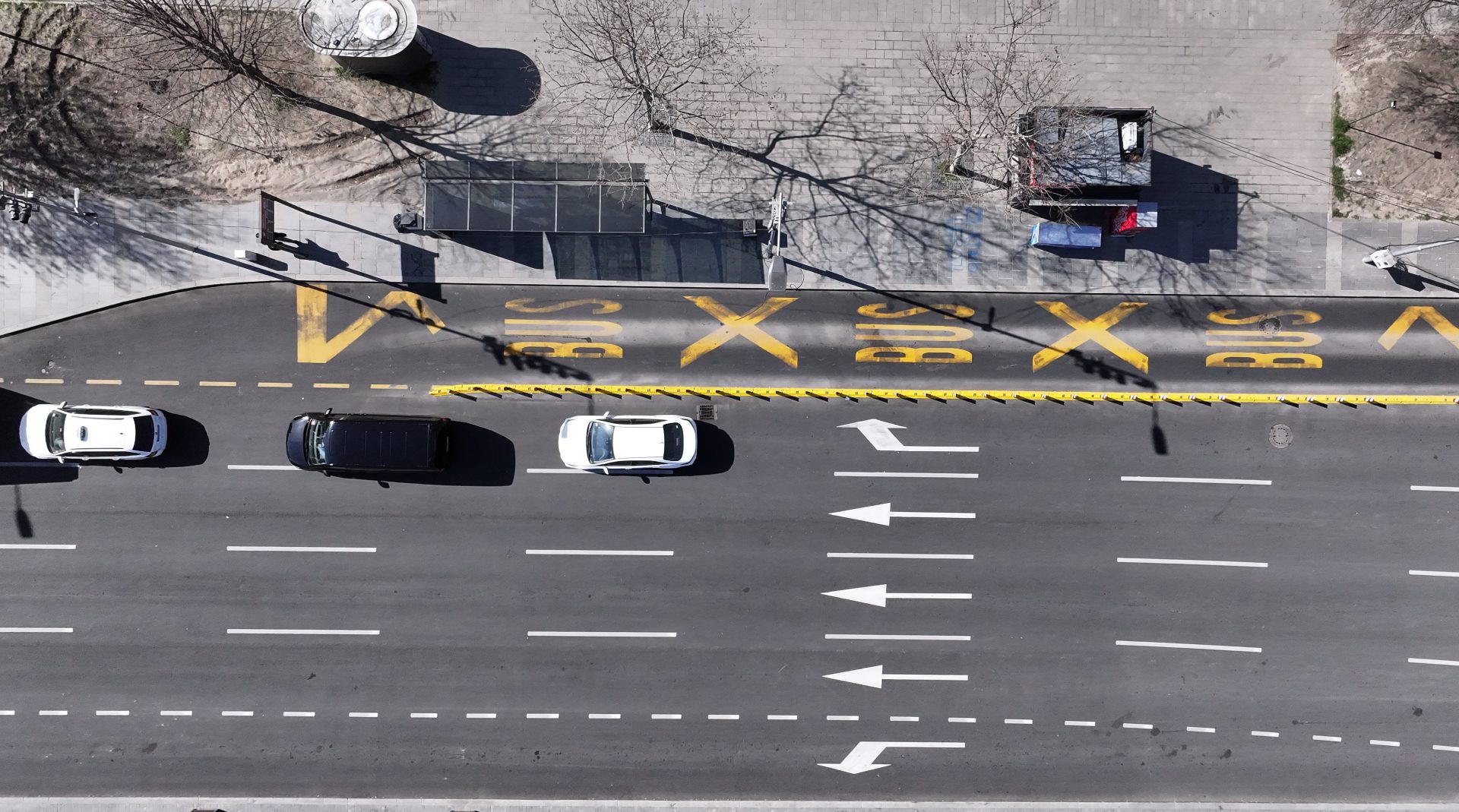 260313 Ivan Sekeric (8).JPG