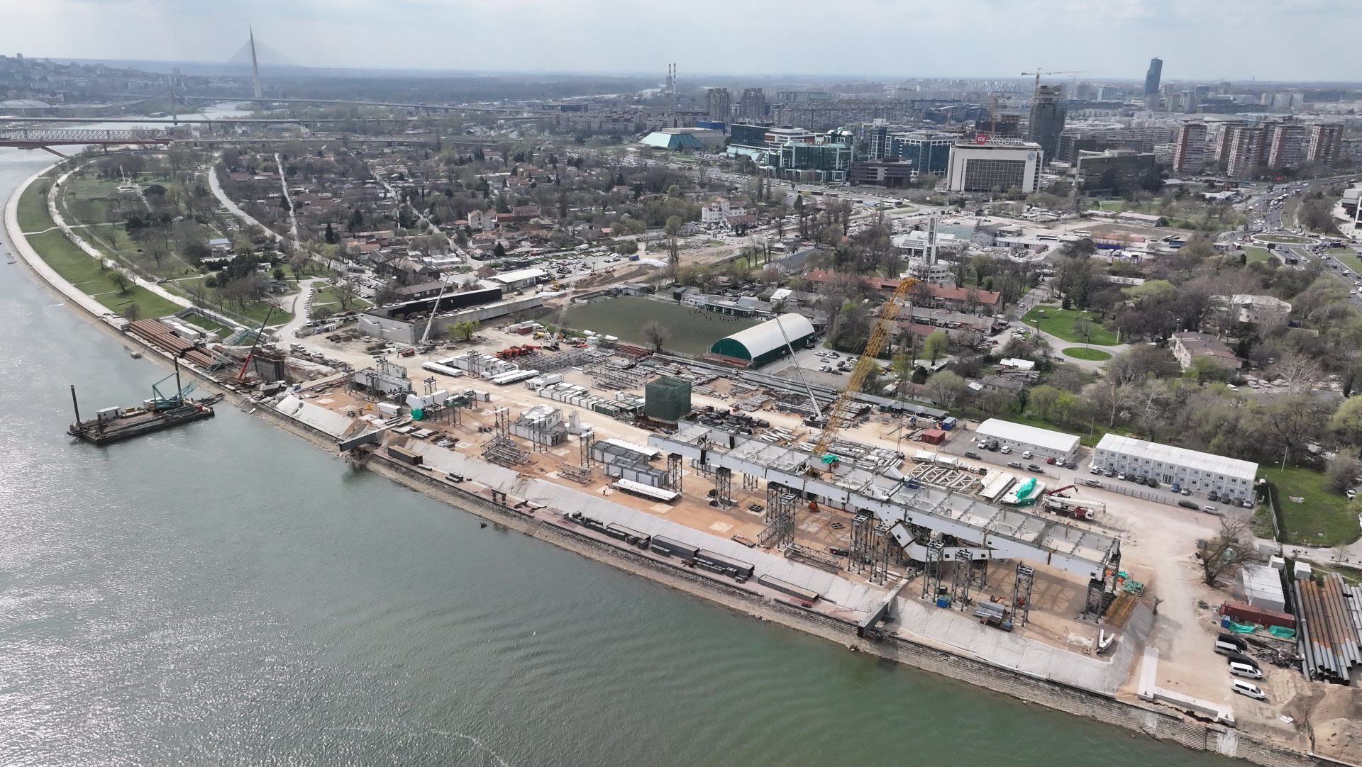 260319 Ivan Sekeric D (2).JPG